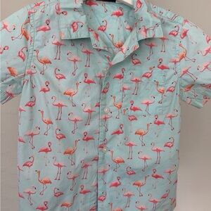 Janie and Jack Aqua Flamingo Shirt